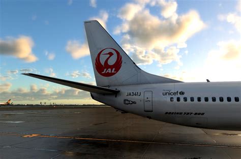 737 800 x zibo.